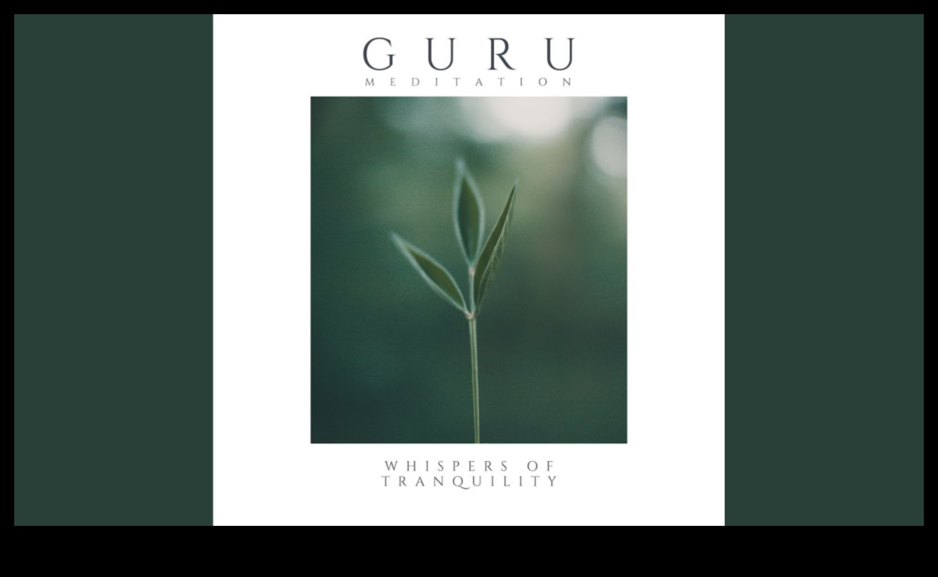 Șoapte de liniște: cartografierea tapiserii istorice a meditației