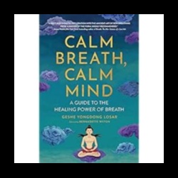 Respirație calmă, minte limpede: deblocarea puterii relaxării