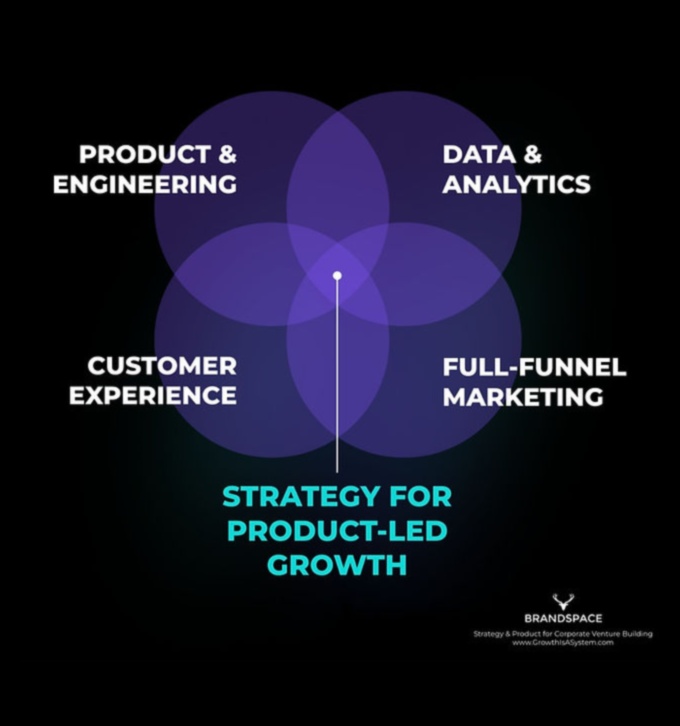 Alianțe strategice: abordări colaborative ale creșterii antreprenoriale