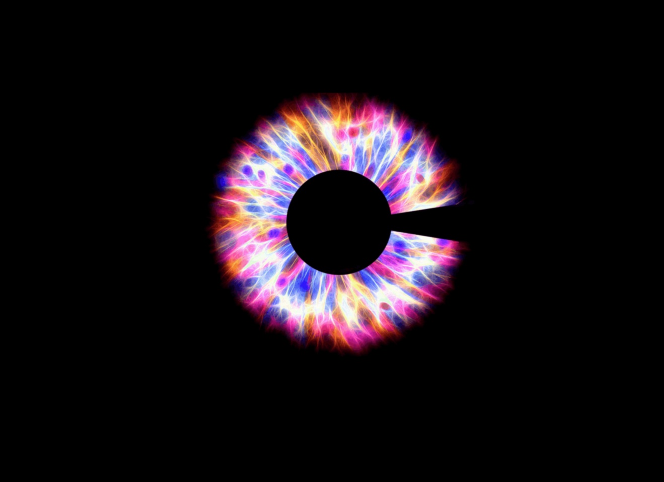 Conexiuni nelimitate: navigarea în universul în expansiune al tehnologiei fără fir