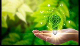 Strategii pentru o creștere susținută: înțelepciune în afaceri pentru liderii inovației