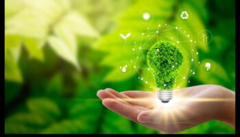 Strategii pentru o creștere susținută: înțelepciune în afaceri pentru liderii inovației