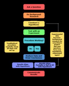 Alianțe strategice: abordări colaborative ale creșterii antreprenoriale