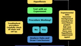 Alianțe strategice: abordări colaborative ale creșterii antreprenoriale