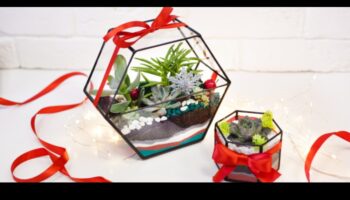 Fericirea botanică: cadouri de grădinărit pentru pasionații de plante