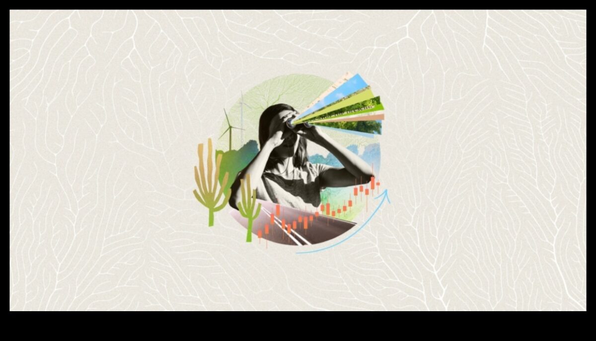 Evoluția succesului: Strategia de afaceri dezvăluită