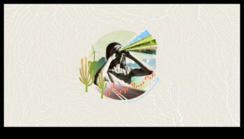 Evoluția succesului: Strategia de afaceri dezvăluită