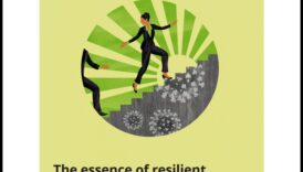 Înțelepții în afaceri: perspective de la liderii care au navigat în călătoria de dezvoltare