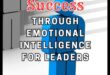 Leadership conștient: inteligență emoțională pentru antreprenori