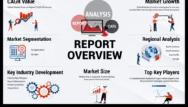 Navigarea creșterii: dezvoltarea afacerilor pe piețe dinamice