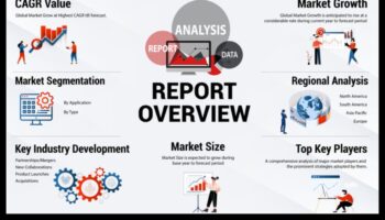 Navigarea creșterii: dezvoltarea afacerilor pe piețe dinamice